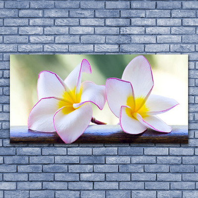 Foto op canvas Plumeria bloemblaadjes