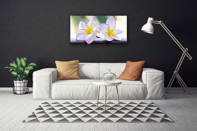 Foto op canvas Plumeria bloemblaadjes