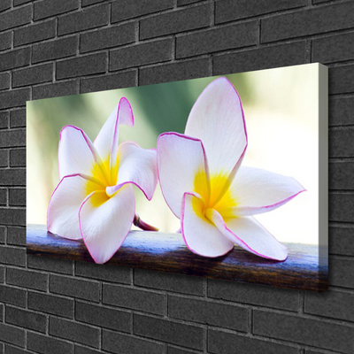 Foto op canvas Plumeria bloemblaadjes