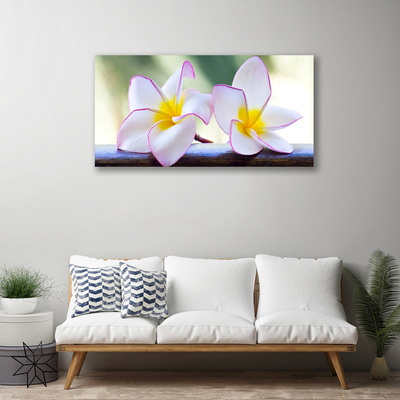 Foto op canvas Plumeria bloemblaadjes