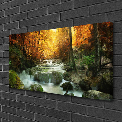 Foto op canvas Bos waterval van de herfst natuur