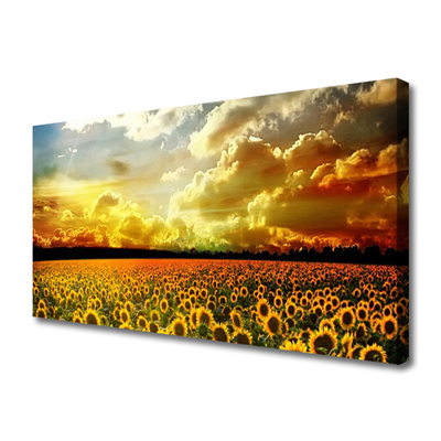 Foto op canvas Gebied van zonnebloemen landscape