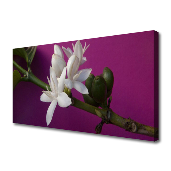 Foto op canvas Bloemen nature plant scheuten