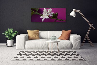 Foto op canvas Bloemen nature plant scheuten