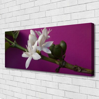 Foto op canvas Bloemen nature plant scheuten