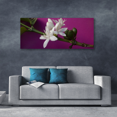 Foto op canvas Bloemen nature plant scheuten