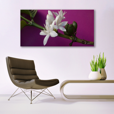 Foto op canvas Bloemen nature plant scheuten