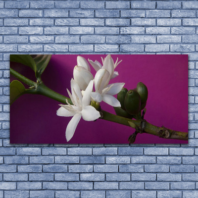 Foto op canvas Bloemen nature plant scheuten