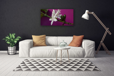 Foto op canvas Bloemen nature plant scheuten