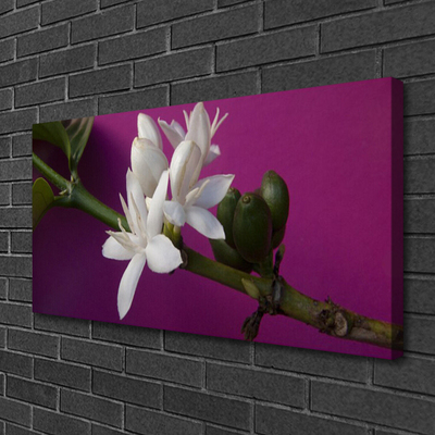 Foto op canvas Bloemen nature plant scheuten