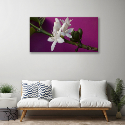 Foto op canvas Bloemen nature plant scheuten