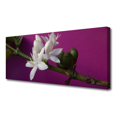 Foto op canvas Bloemen nature plant scheuten