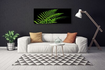 Foto op canvas Fern varens bladeren