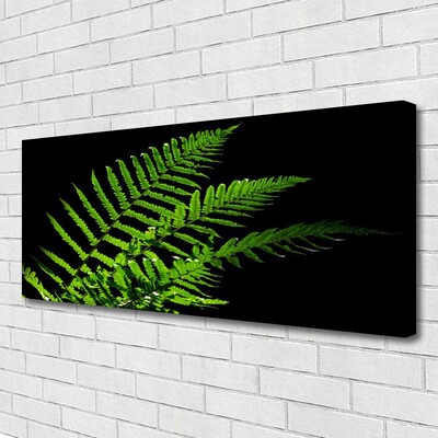 Foto op canvas Fern varens bladeren