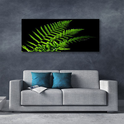 Foto op canvas Fern varens bladeren