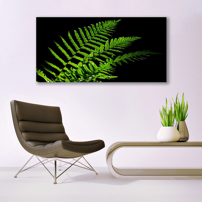 Foto op canvas Fern varens bladeren