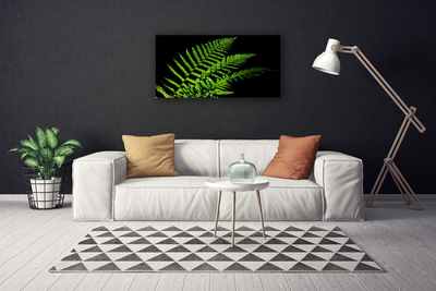 Foto op canvas Fern varens bladeren