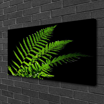 Foto op canvas Fern varens bladeren