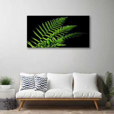 Foto op canvas Fern varens bladeren