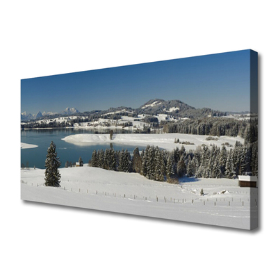 Foto op canvas Bergen van de sneeuw lake region