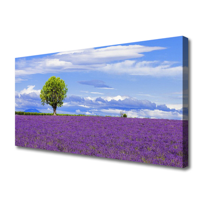 Foto op canvas Gebied van de lavendel nature tree