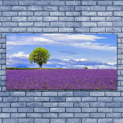 Foto op canvas Gebied van de lavendel nature tree
