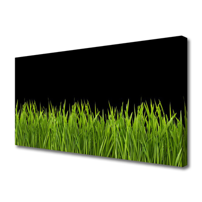 Foto op canvas Green grass nature