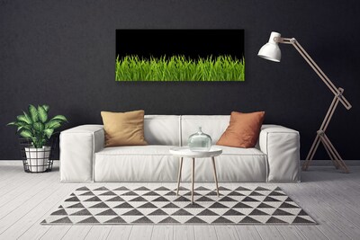 Foto op canvas Green grass nature
