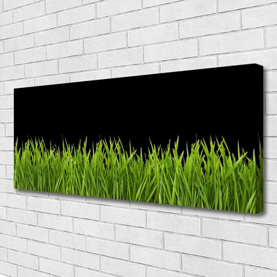 Foto op canvas Green grass nature