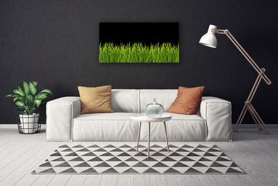 Foto op canvas Green grass nature