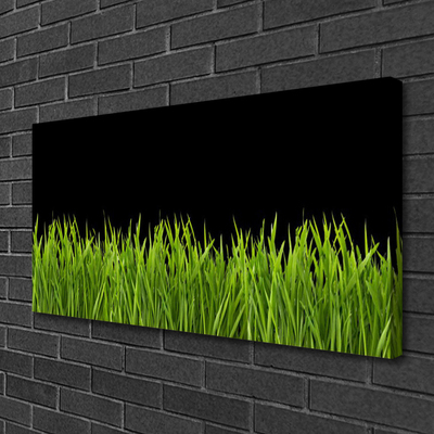 Foto op canvas Green grass nature