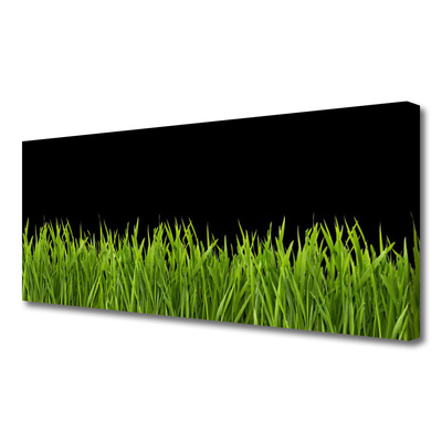 Foto op canvas Green grass nature