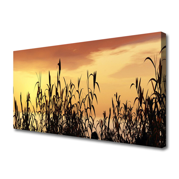 Foto op canvas Bladeren west meadow field