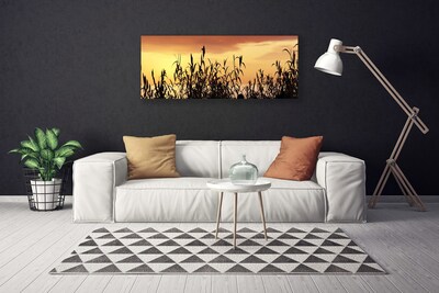 Foto op canvas Bladeren west meadow field