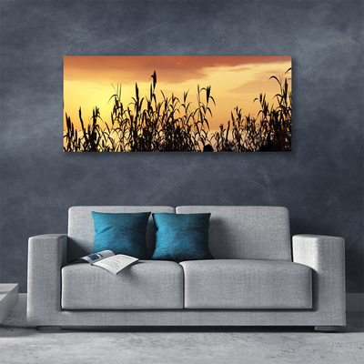 Foto op canvas Bladeren west meadow field