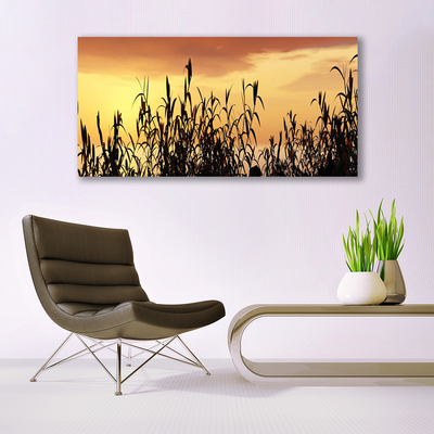 Foto op canvas Bladeren west meadow field