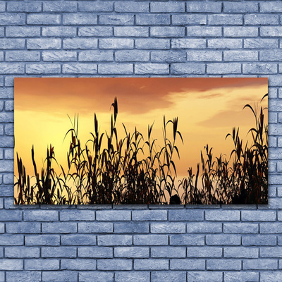 Foto op canvas Bladeren west meadow field