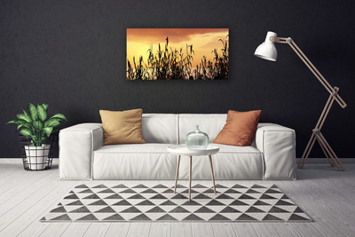 Foto op canvas Bladeren west meadow field