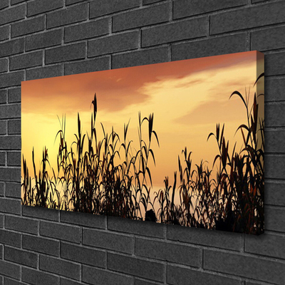 Foto op canvas Bladeren west meadow field