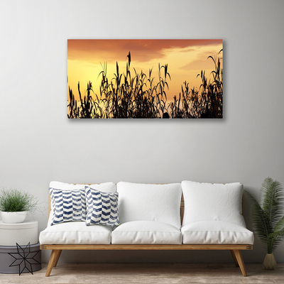 Foto op canvas Bladeren west meadow field