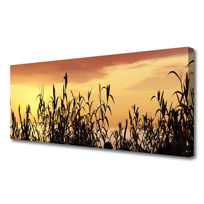 Foto op canvas Bladeren west meadow field