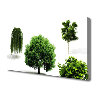 Foto op canvas Bomen natuur natuur