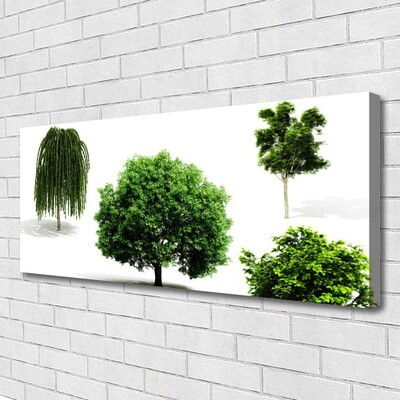 Foto op canvas Bomen natuur natuur