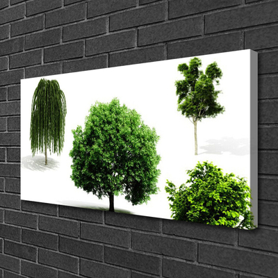 Foto op canvas Bomen natuur natuur