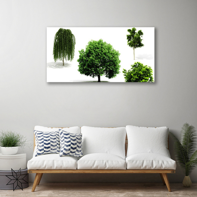 Foto op canvas Bomen natuur natuur