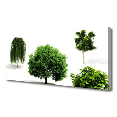 Foto op canvas Bomen natuur natuur