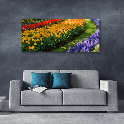 Foto op canvas Tulpen bloemen garden