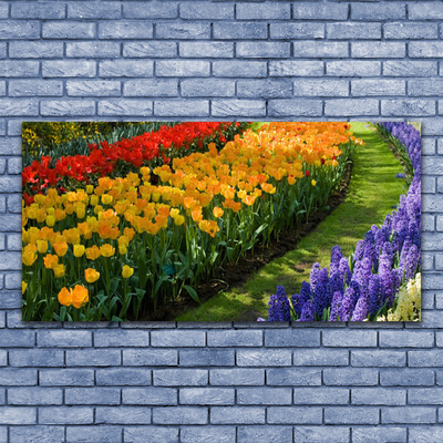 Foto op canvas Tulpen bloemen garden