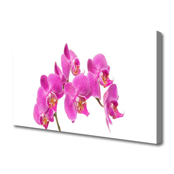 Foto op canvas Orchideebloemen nature