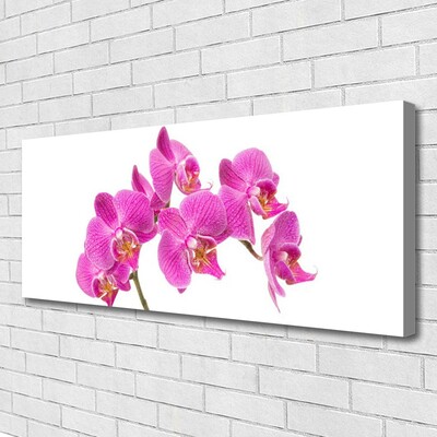 Foto op canvas Orchideebloemen nature